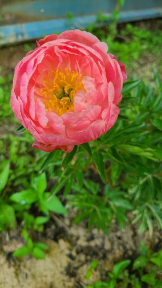 김정원님의 자유주제 · 사진전 작성글 사진