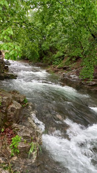 파란농원님의 고추 · 지주설치•유인•성장 작성글 사진