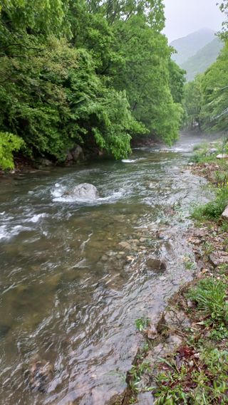 파란농원님의 고추 · 지주설치•유인•성장 작성글 사진