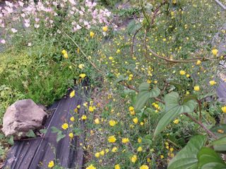 금동이네님의 기타작물 · 자유게시판 작성글 사진