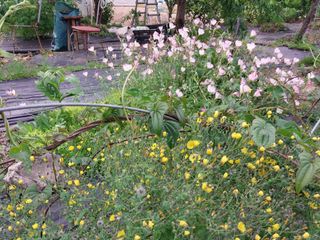 금동이네님의 기타작물 · 자유게시판 작성글 사진