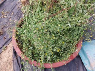 금동이네님의 기타작물 · 자유게시판 작성글 사진