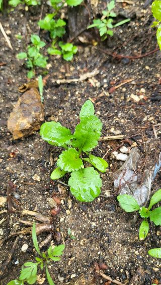 ♡5도2촌pys♡님의 우리동네 · 동네자랑 작성글 사진