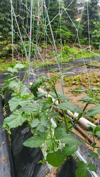 ♡5도2촌pys♡님의 우리동네 · 동네자랑 작성글 사진