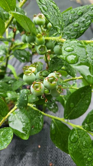 ♡5도2촌pys♡님의 우리동네 · 동네자랑 작성글 사진