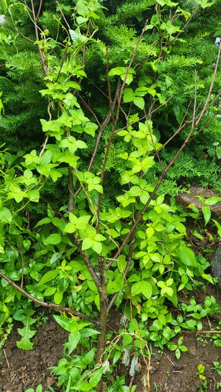 ♡5도2촌pys♡님의 우리동네 · 동네자랑 작성글 사진