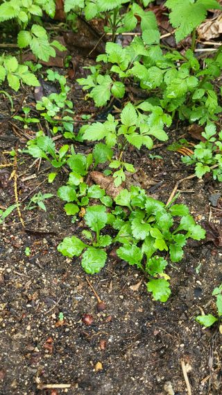 ♡5도2촌pys♡님의 우리동네 · 동네자랑 작성글 사진