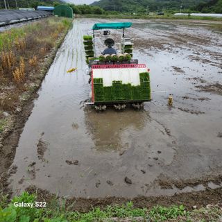 장군농산장창민님의 벼 · 자유게시판 작성글 사진
