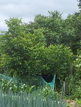 팜모닝 기타작물·자유게시판 게시글 이미지