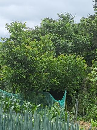 권봉식님의 기타작물 · 자유게시판 작성글 사진