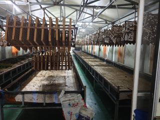 홍박농원님의 자유주제 · 자유게시판 작성글 사진