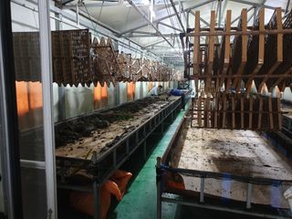 홍박농원님의 자유주제 · 자유게시판 작성글 사진