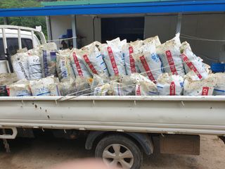 홍박농원님의 자유주제 · 자유게시판 작성글 사진