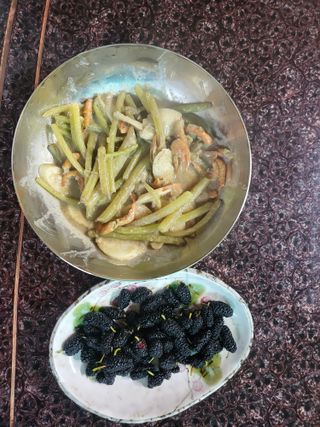 노아마님의 옥수수 · 자유게시판 작성글 사진