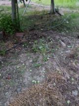 팜모닝 사과·일상 게시글 이미지