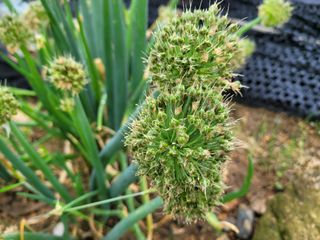 여우내 이순홍님의 기타작물 · 자유게시판 작성글 사진