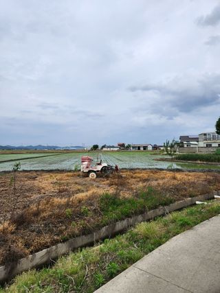 김상례님의 벼 · 자유게시판 작성글 사진