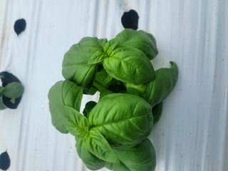 권미화님의 기타작물 · 자유게시판 작성글 사진