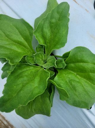 권미화님의 기타작물 · 자유게시판 작성글 사진