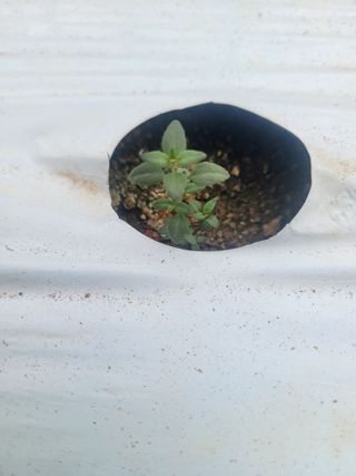 권미화님의 기타작물 · 자유게시판 작성글 사진