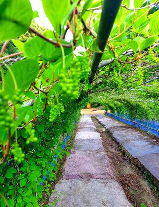 시금치15102님의 자유주제 · 자유게시판 작성글 사진