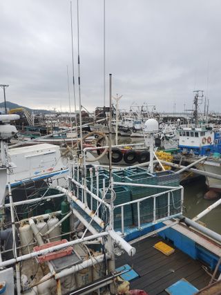 서정훈 님의 자유주제 · 자유게시판 작성글 사진