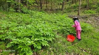 문진용(해오름달)님의 금쪽같은 내 작물 자랑하기 · 참여 작성글 사진