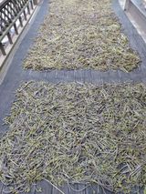 팜모닝 기타작물·자유게시판 게시글 이미지