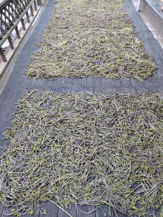 강미화님의 기타작물 · 자유게시판 작성글 사진