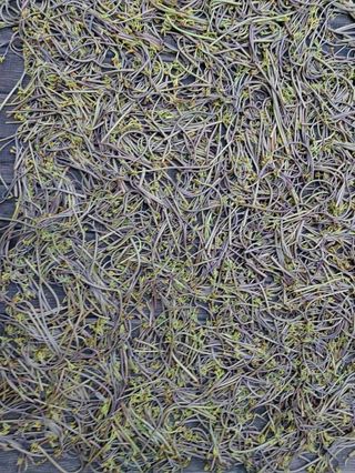 강미화님의 기타작물 · 자유게시판 작성글 사진