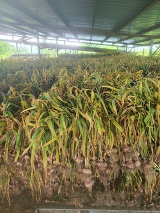 김영복님의 우리동네 · 동네자랑 작성글 사진