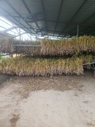 김영복님의 우리동네 · 동네자랑 작성글 사진