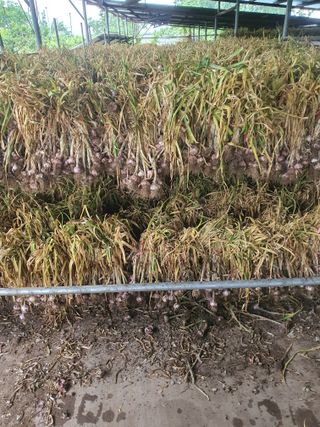 김영복님의 우리동네 · 동네자랑 작성글 사진