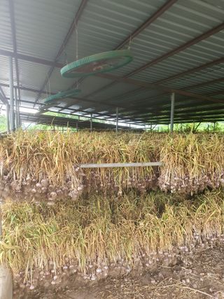 김영복님의 우리동네 · 동네자랑 작성글 사진