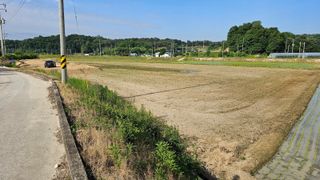 황영출님의 벼 · 자유게시판 작성글 사진