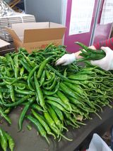 팜모닝 고추·일상 게시글 이미지