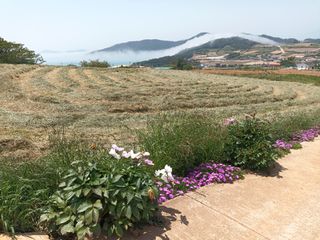 김은숙님의 참깨 · 자유게시판 작성글 사진