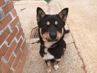 김은숙님의 참깨 · 자유게시판 작성글 사진