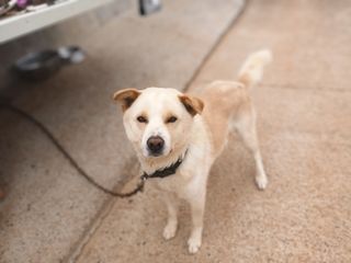 김은숙님의 참깨 · 자유게시판 작성글 사진