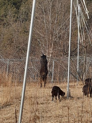 이용근님의 장터이야기 · 자유게시판 작성글 사진