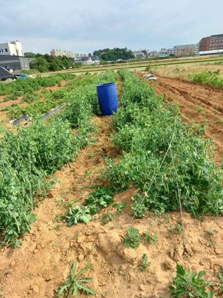 귤29729님의 콩 · 자유게시판 작성글 사진