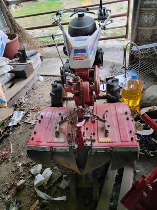 아준님의 참깨 · 자유게시판 작성글 사진