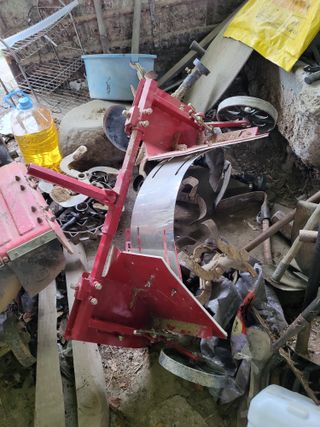 아준님의 참깨 · 자유게시판 작성글 사진