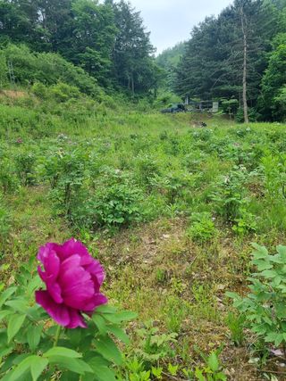 이호성님의 기타작물 · 자유게시판 작성글 사진