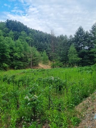 이호성님의 기타작물 · 자유게시판 작성글 사진