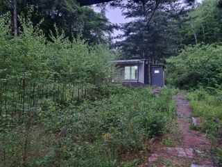 이호성님의 기타작물 · 자유게시판 작성글 사진