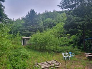 이호성님의 기타작물 · 자유게시판 작성글 사진