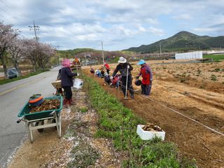 상사화웰빙팜님의 우리동네 · 동네자랑 작성글 사진