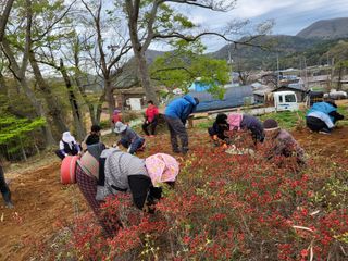 상사화웰빙팜님의 우리동네 · 동네자랑 작성글 사진