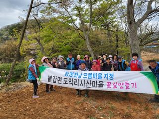 상사화웰빙팜님의 우리동네 · 동네자랑 작성글 사진